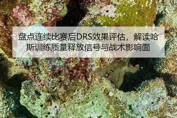 pan-dian-lian-xu-bi-sai-hou-xiao-guo-ping-gu-jie-du-ha-si-xun-lian-zhi-liang-shi-fang-xin-hao-yu-zhan-shu-ying-xiang-2-319.jpg